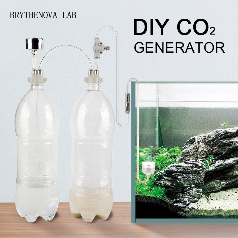 Planted Aquarium Moss - CO2 Generator Aquarium Beplante Tank CO2