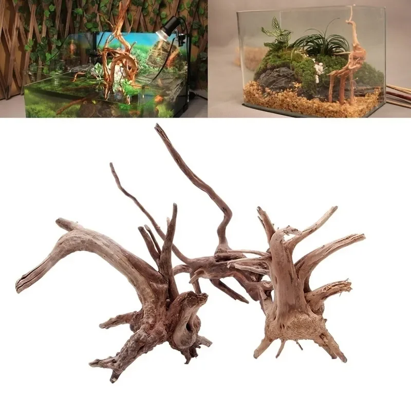 Planted Aquarium With Driftwood - Natuurlijke Boomstam Drijfhout Aquarium Aquarium Reptiel