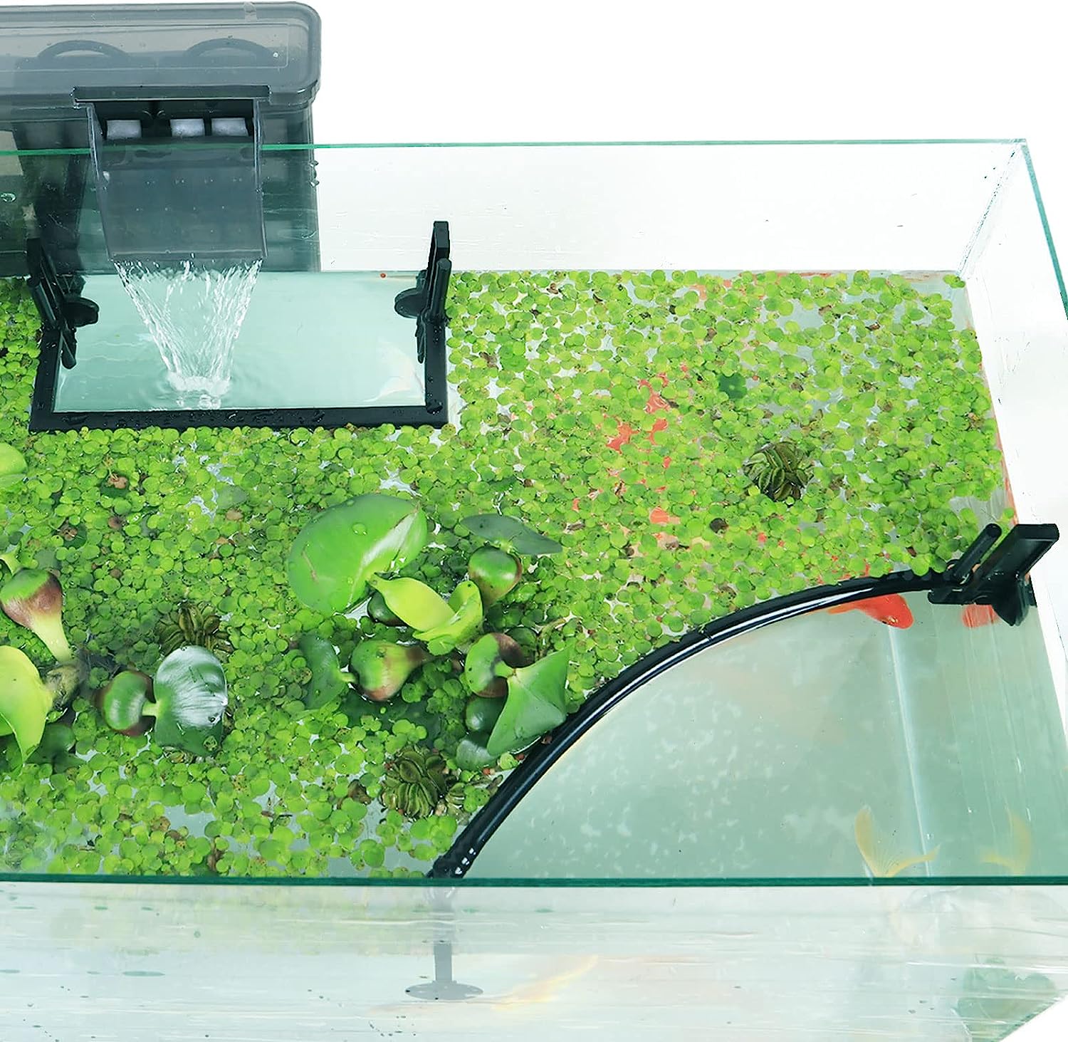 Planted Aquarium Heater - Aquarium Drijvende Plant Corral, Het Onderscheppen