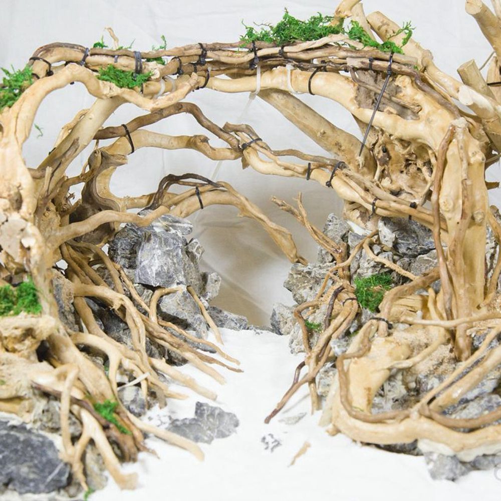 Planted Aquarium With Driftwood - Houten N1N Reptielenbak Achterwand Aquariumdecoratie Landschapsarchitectuur
