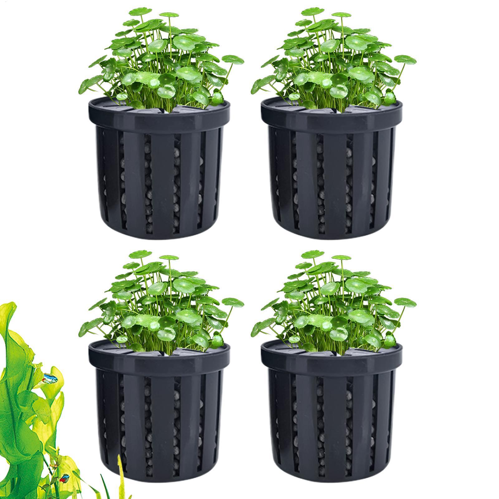 Aquarium Plant Holder - 4 stuks aquarium plantenbak met spons