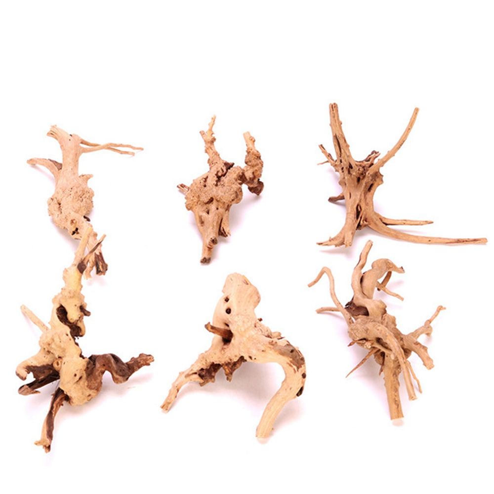 Planted Aquarium With Driftwood - Hout N1N Landschapsarchitectuur Aquarium Decoratie Reptiel