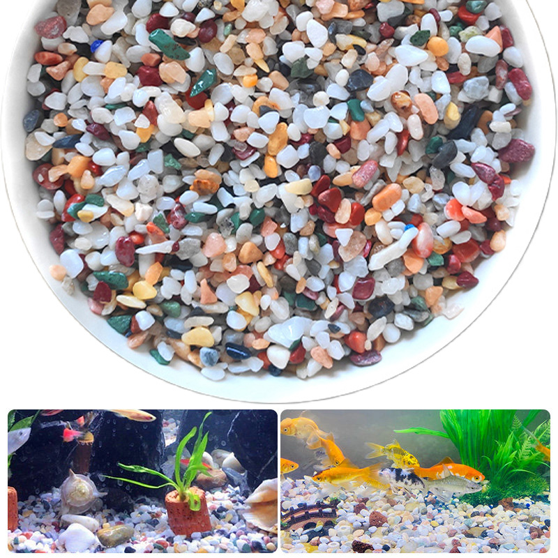 Planted Aquarium With Sand - Natuurlijke Grindsteen 200 ~ 1000g Micro