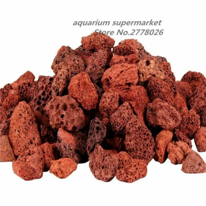 Planted Aquarium With Sand - Aquarium Filter Materiaal Aquarium Landschap Inrichting