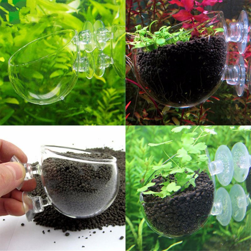Planted Aquarium Moss - Aquarium Opknoping Plant Pot Glazen Cilinder