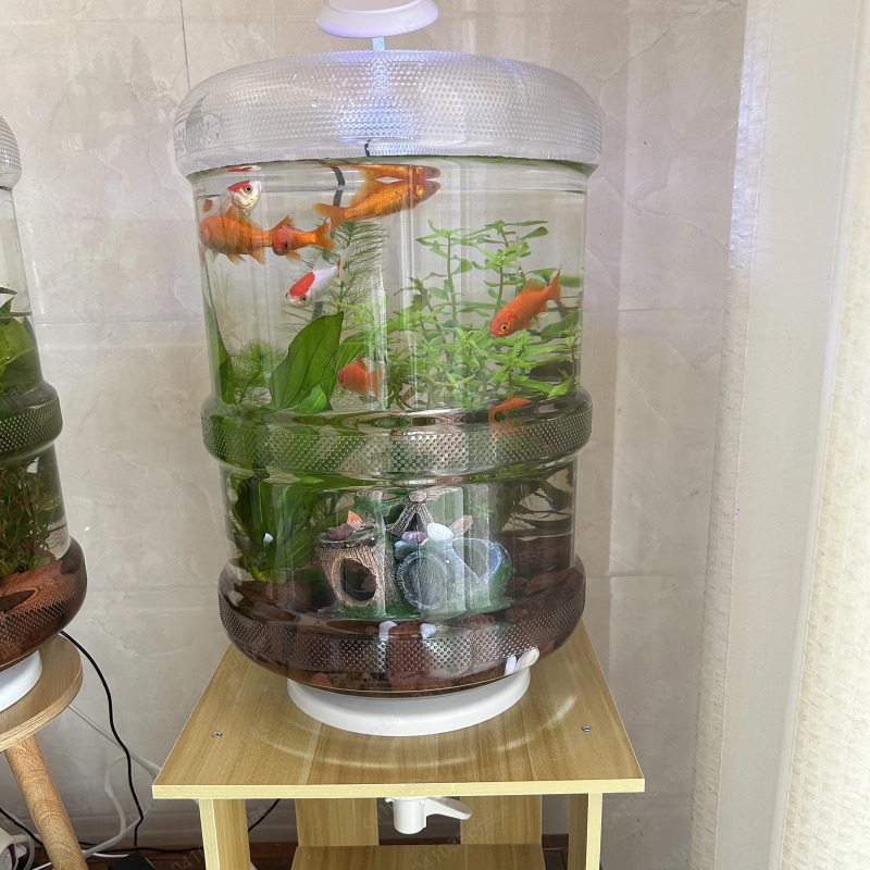 Aquarium Planted Setup - Instant Setup Home Fish Tank 30x30cm