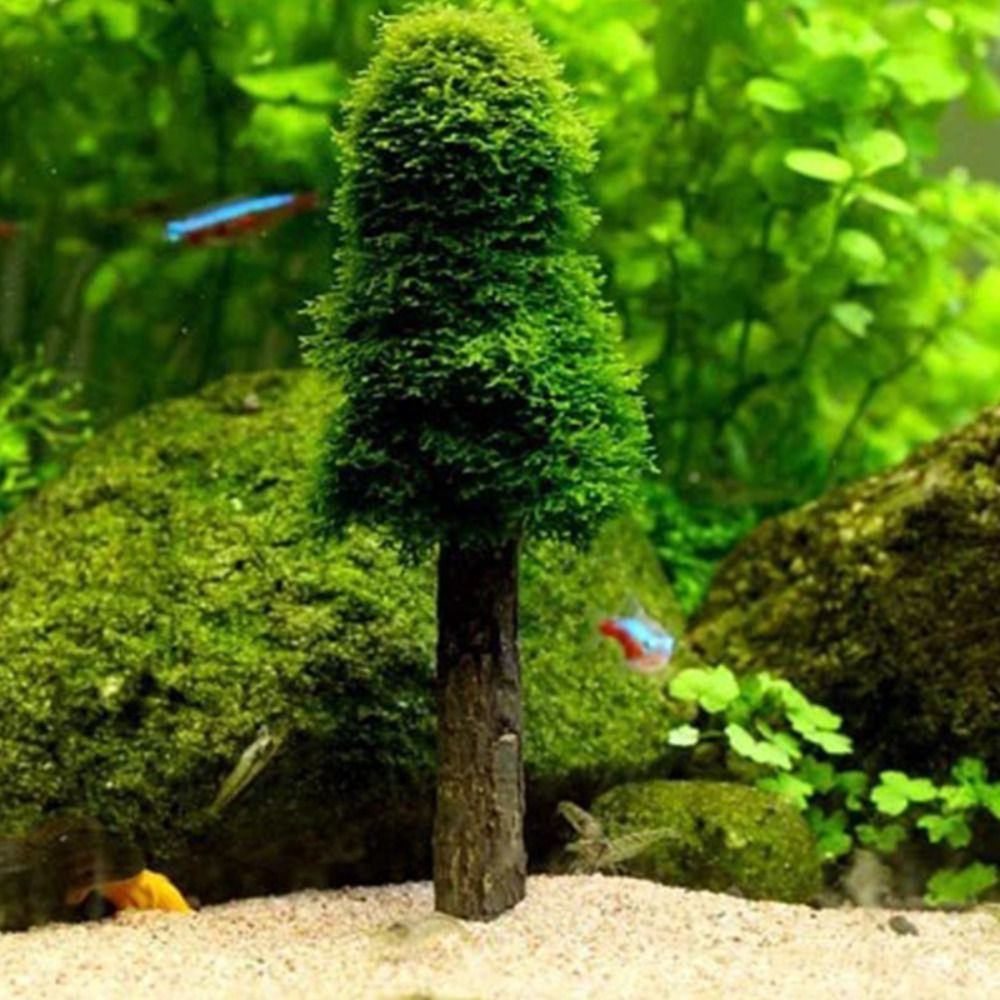 Simulatie Kerstboom Aquarium M - Planted Aquarium Moss recensie en prijs