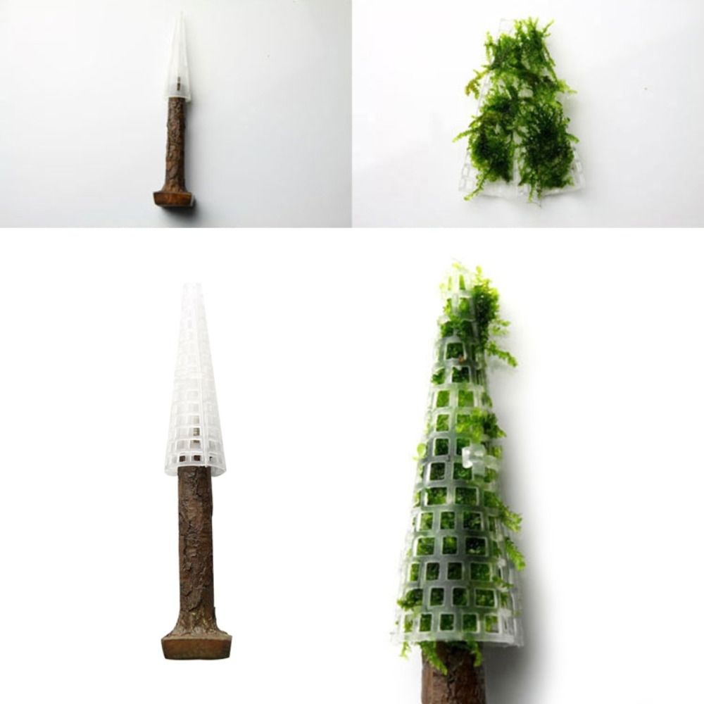 Simulatie Kerstboom Aquarium M - Planted Aquarium Moss recensie en prijs