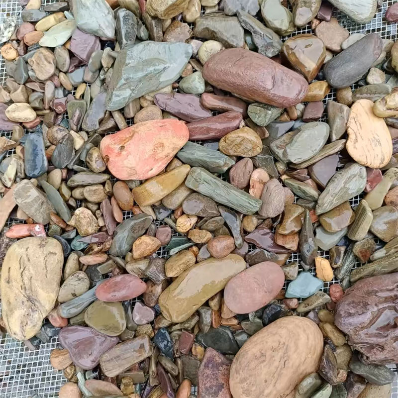500g Aquarium Bodem Zandsteen  - Planted Aquarium With Sand recensie en prijs