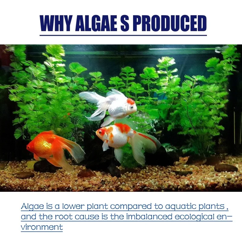 50g Hoogwaardig algemiddel teg - Planted Aquarium Moss recensie en prijs