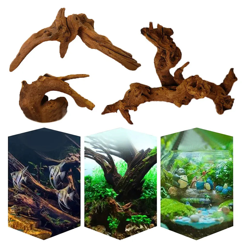 Hot verkopende nieuwe aquarium - Aquarium Planted Soil recensie en prijs