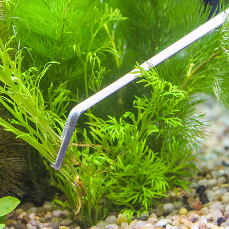 Professionele aquariumonderhou - Planted Aquarium Maintenance Kit recensie en prijs