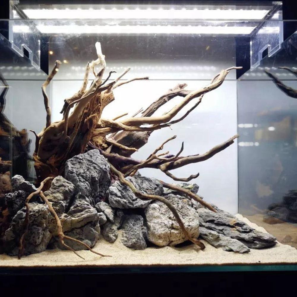 Houten N1N Reptielenbak Achter - Planted Aquarium With Driftwood recensie en prijs