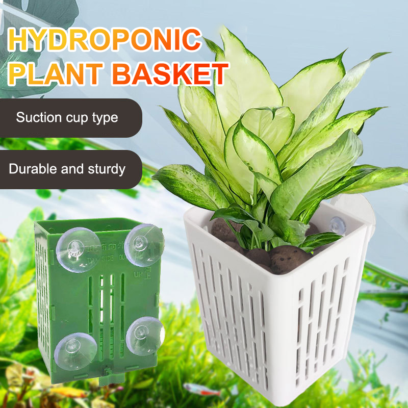 Hangende zuignaphaak Aquariump - Aquarium Plant Holder recensie en prijs