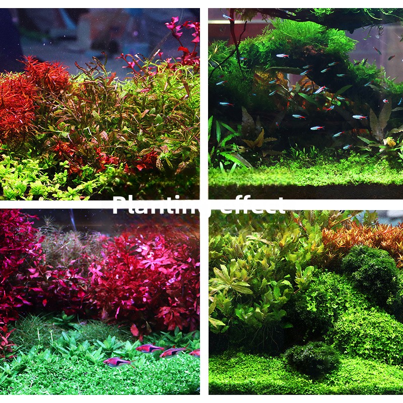 SYSENCIAGA beplant aquariumsub - Aquarium Planted Soil recensie en prijs