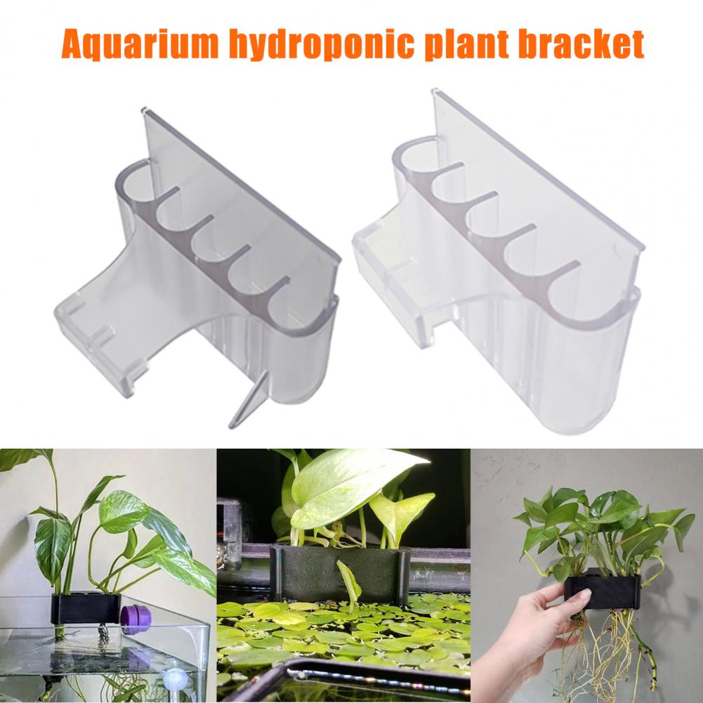 4.5/6.5 Cm Aquarium Plant Houd - Aquarium Plant Holder recensie en prijs