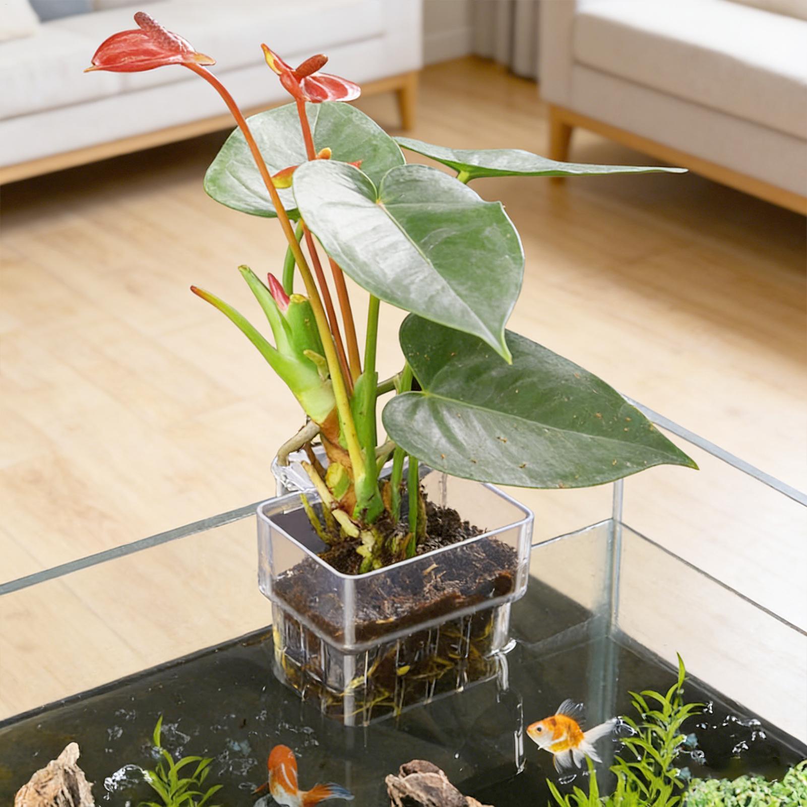 Visbak Vaste mand Wandgemontee - Aquarium Plant Holder recensie en prijs