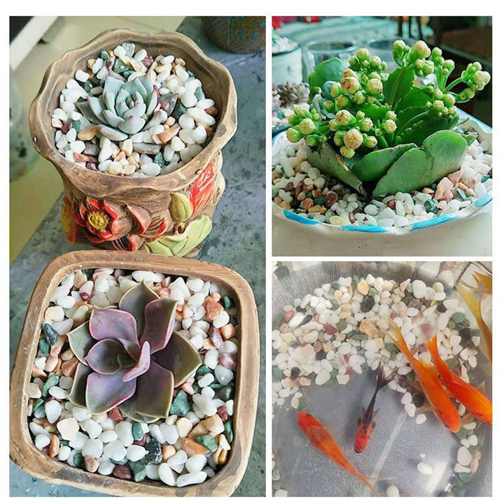 50/100g Natuurlijke Kristallen - Planted Aquarium With Sand recensie en prijs