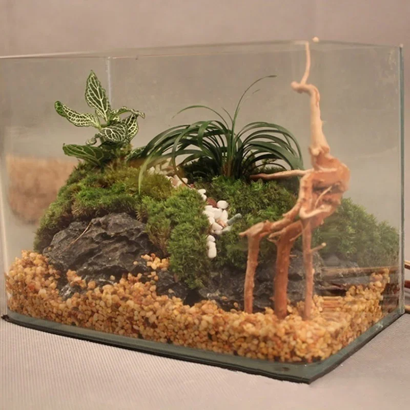 Natuurlijke boomstam Drijfhout - Planted Aquarium With Driftwood recensie en prijs