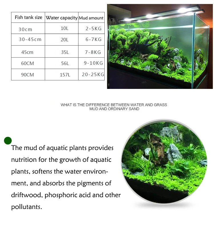 Aquarium Watergras Modder Plan - Planted Aquarium With Sand recensie en prijs