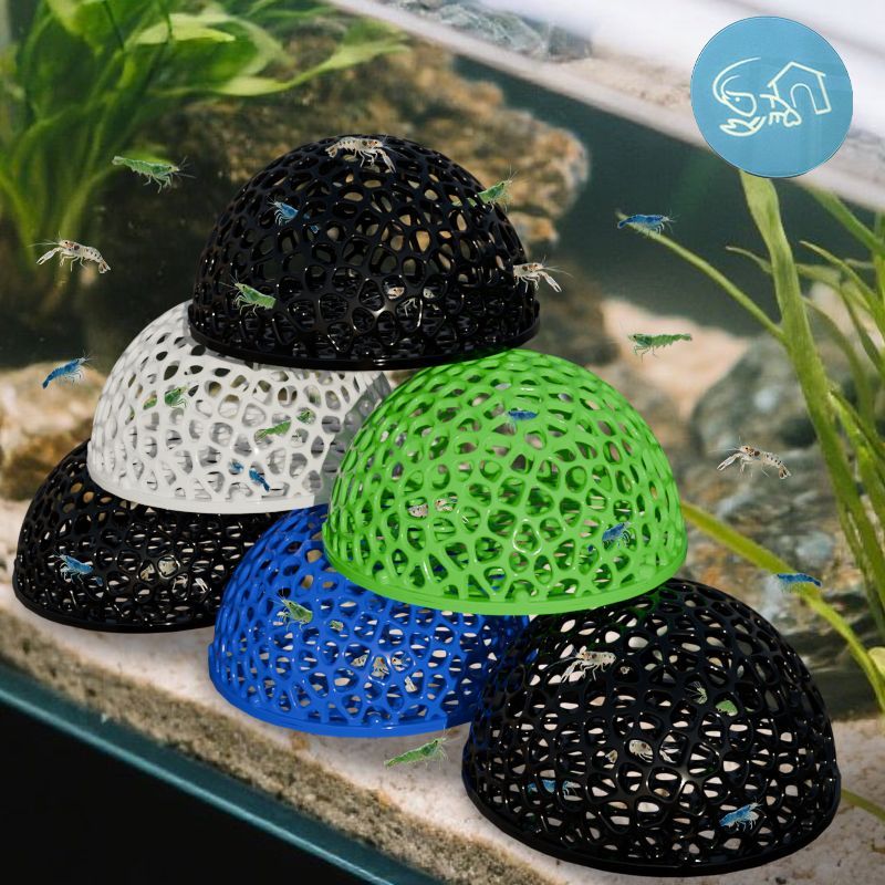 Aquarium schuilplaatsen grotsc - Planted Aquarium Moss recensie en prijs