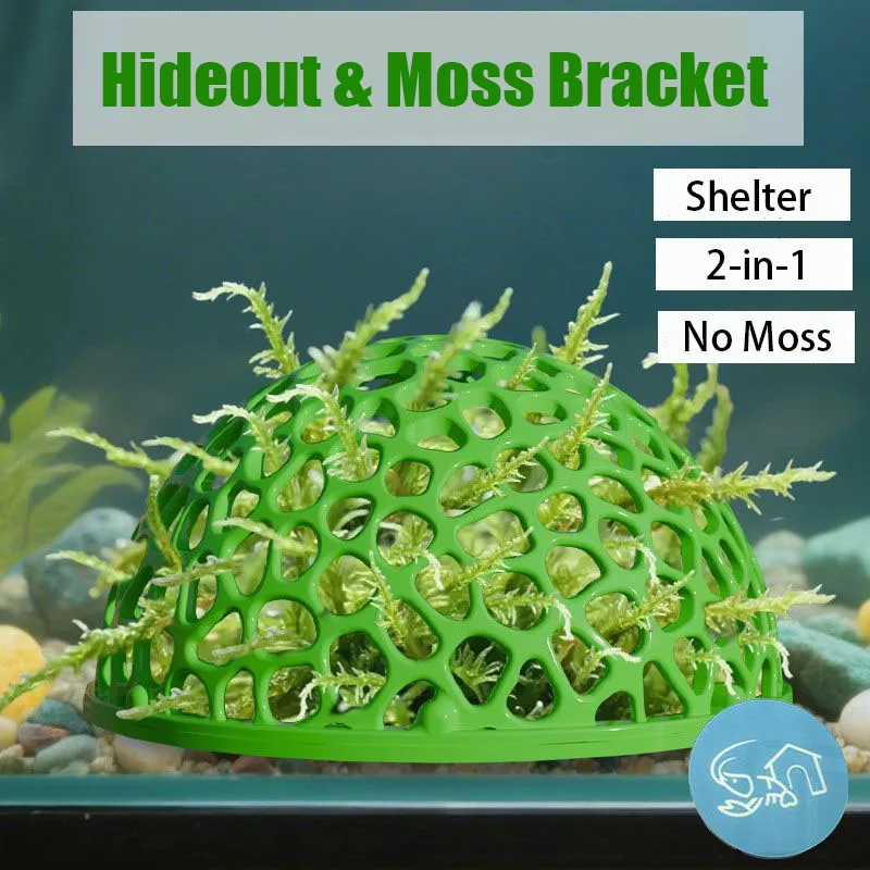 Aquarium schuilplaatsen grotsc - Planted Aquarium Moss recensie en prijs