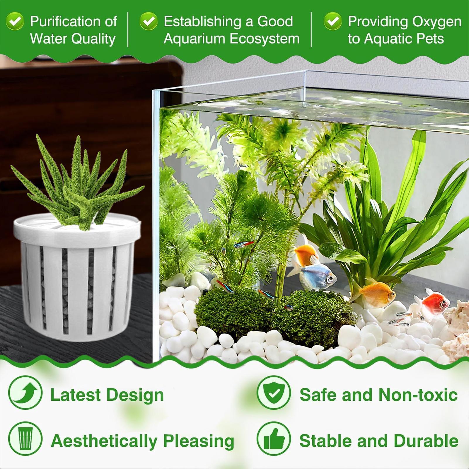 4 stuks aquarium plantenbak me - Aquarium Plant Holder recensie en prijs