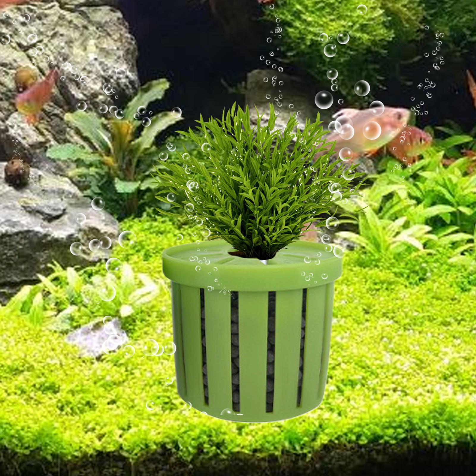 4 stuks aquarium plantenbak me - Aquarium Plant Holder recensie en prijs