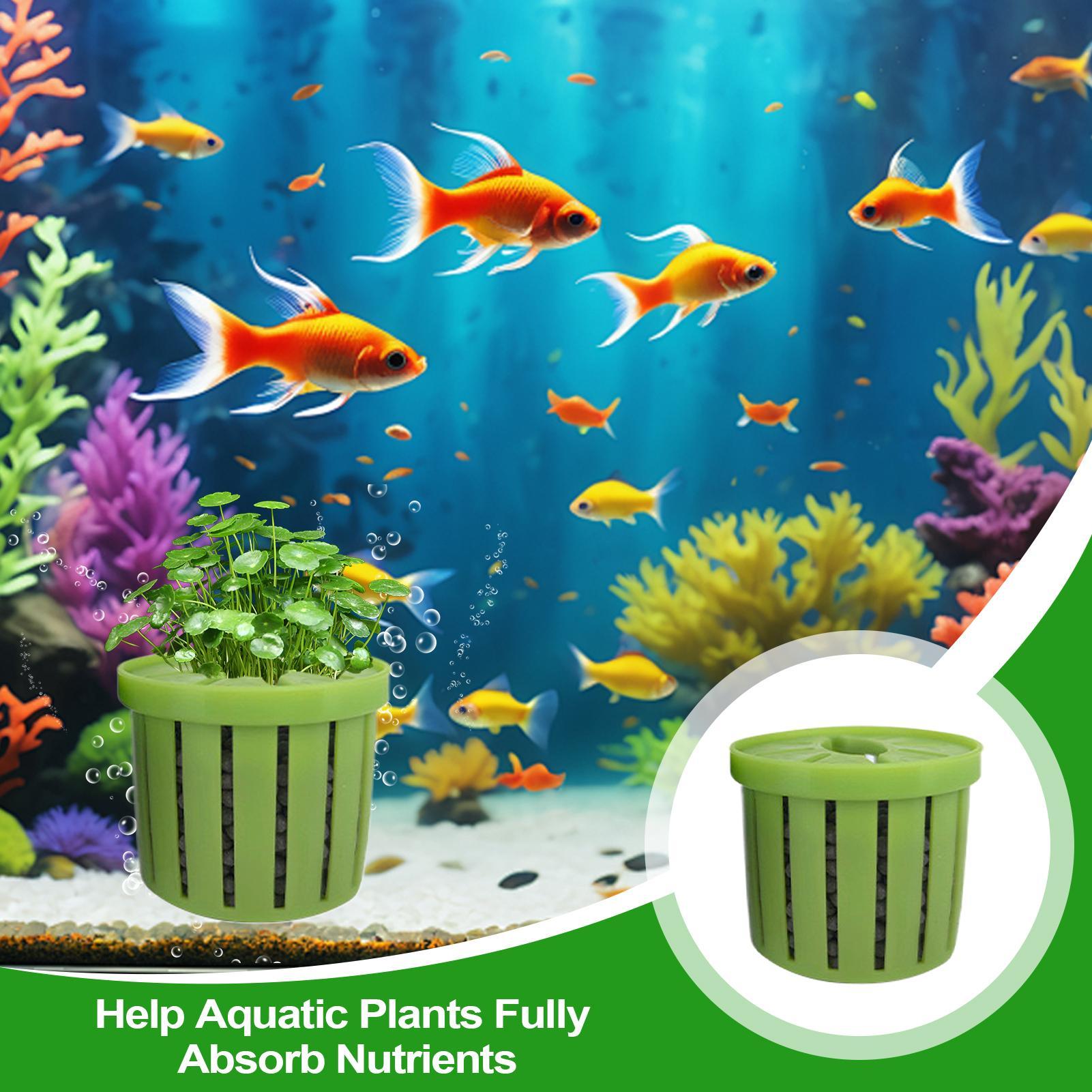 4 stuks aquarium plantenbak me - Aquarium Plant Holder recensie en prijs
