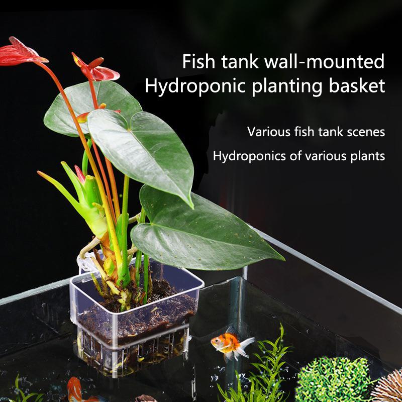 Aquarium Hydroponische Plantbe - Aquarium Planted Setup recensie en prijs