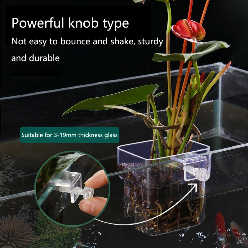 Aquarium Hydroponische Plantbe - Aquarium Planted Setup recensie en prijs