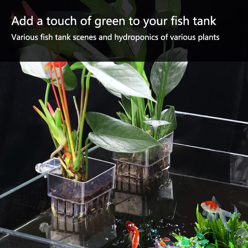 Aquarium Hydroponische Plantbe - Aquarium Planted Setup recensie en prijs