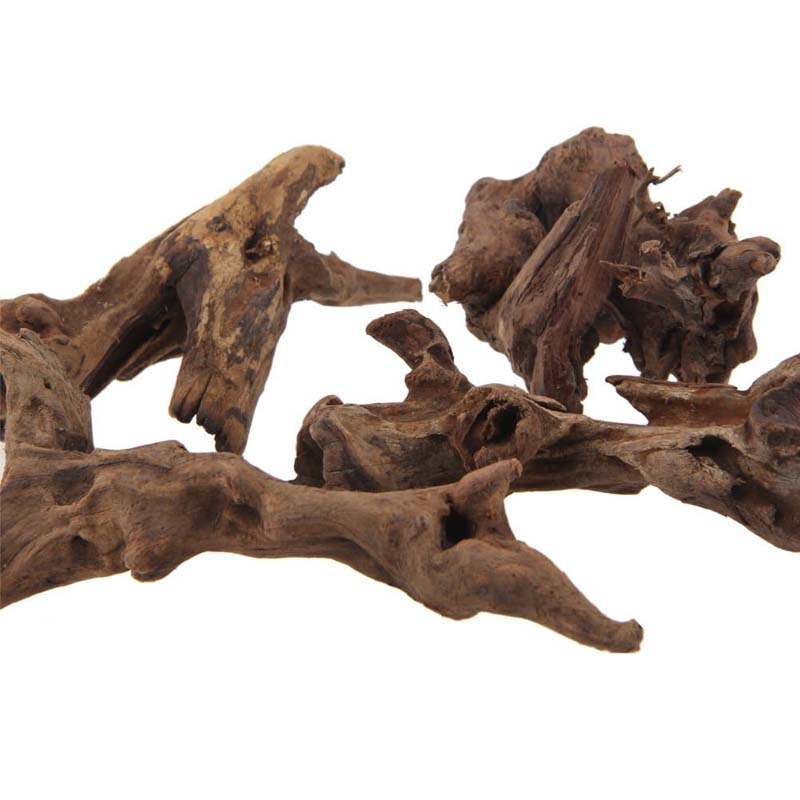 1PC Natuurlijke Aquarium Zinkb - Planted Aquarium With Driftwood recensie en prijs