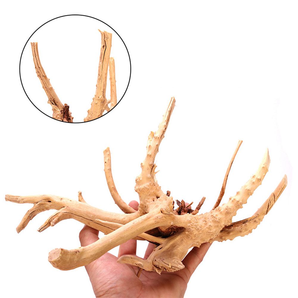 Hout N1N Landschapsarchitectuu - Planted Aquarium With Driftwood recensie en prijs