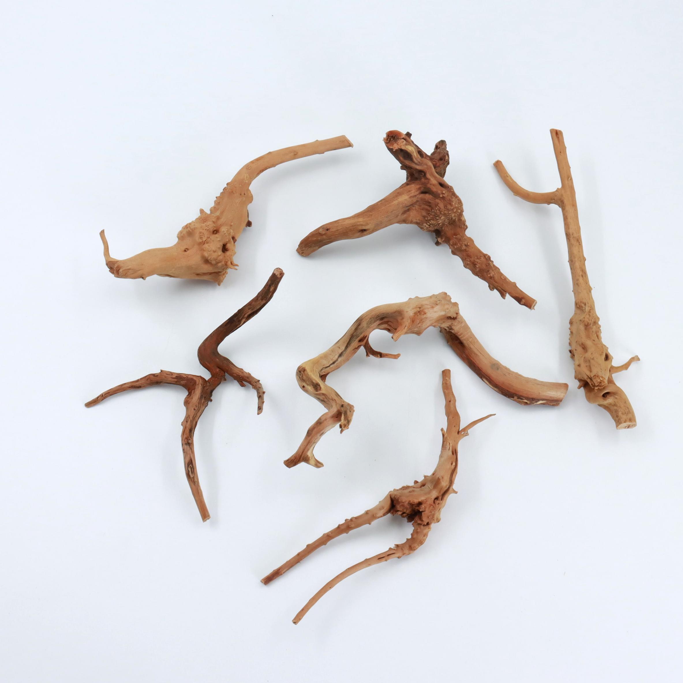 2 stuks natuurlijk klein spinh - Planted Aquarium With Driftwood recensie en prijs