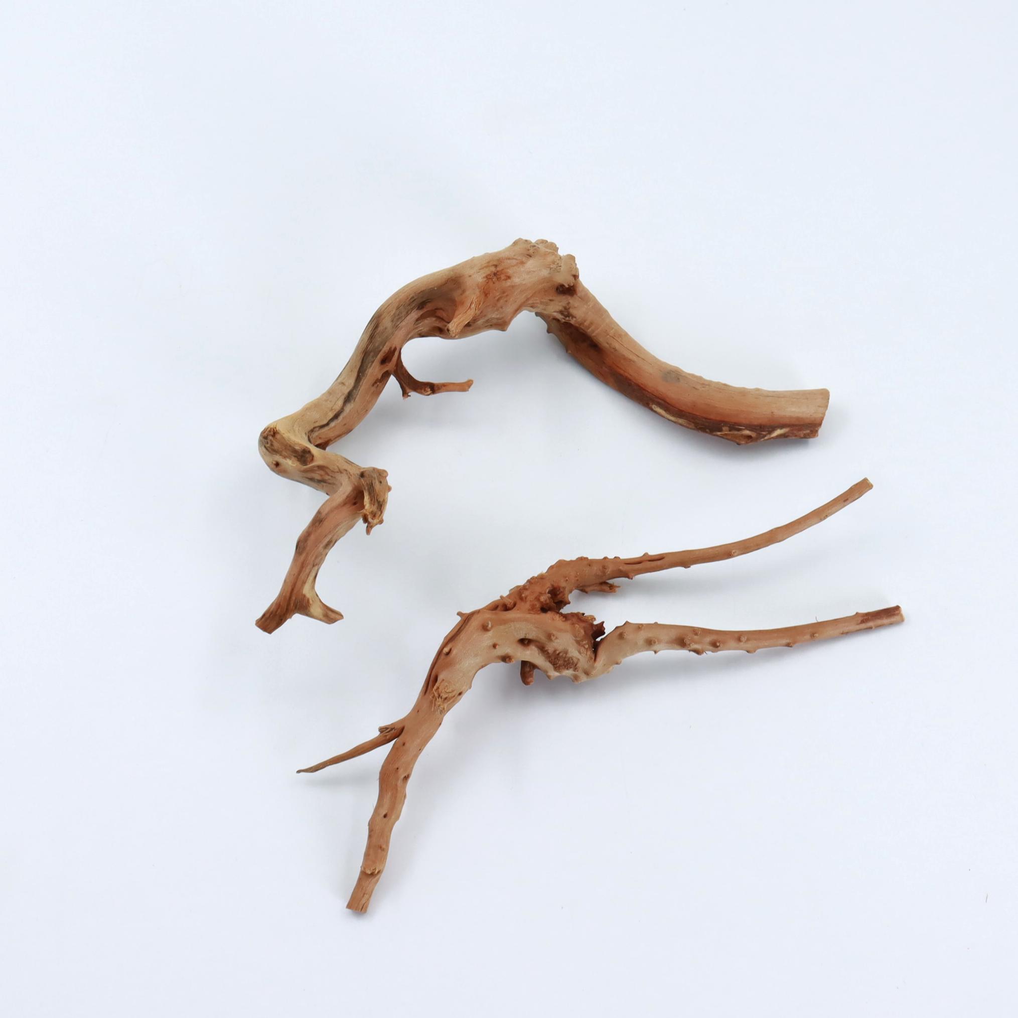 2 stuks natuurlijk klein spinh - Planted Aquarium With Driftwood recensie en prijs