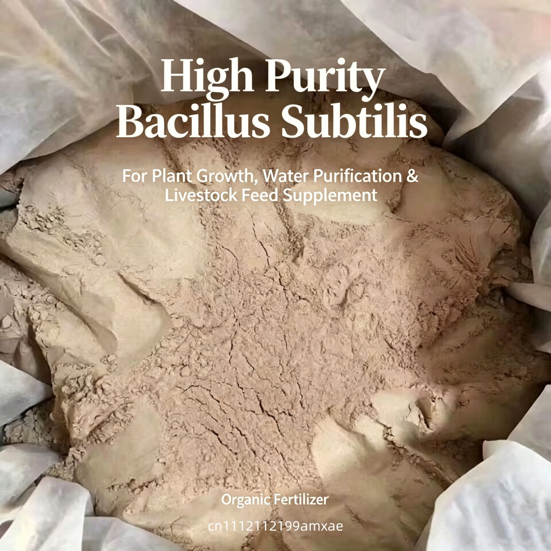 Hoogactief Bacillus Subtilis p - Aquarium Planted Soil recensie en prijs