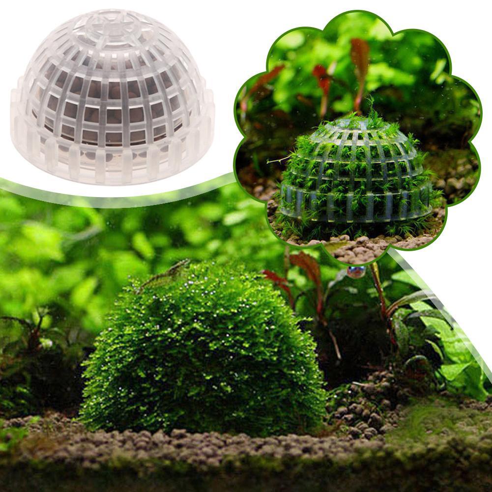 1/2/3/4/5PCS Aquarium Decorati - Planted Aquarium Moss recensie en prijs