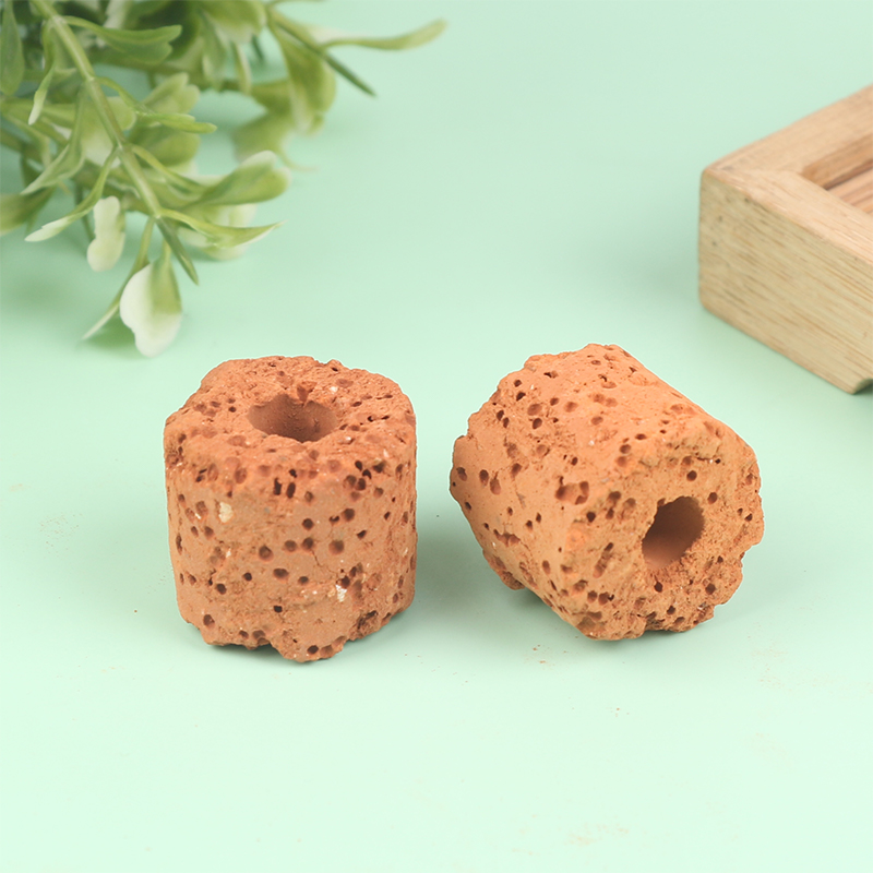 10 stuks Mini Waterplant Ring  - Aquarium Planted Setup recensie en prijs