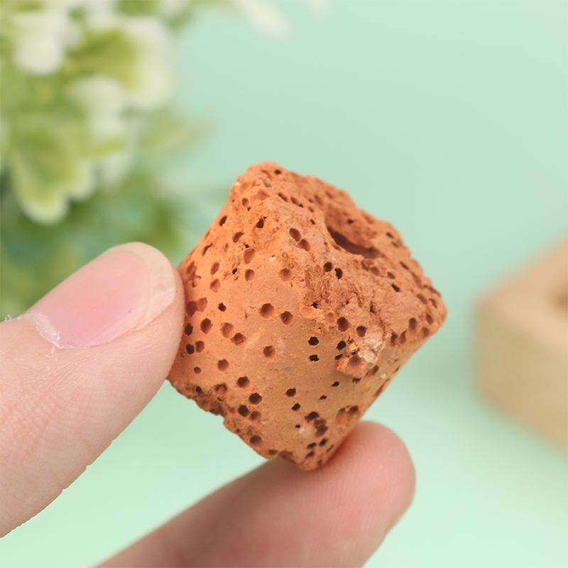 10 stuks Mini Waterplant Ring  - Aquarium Planted Setup recensie en prijs