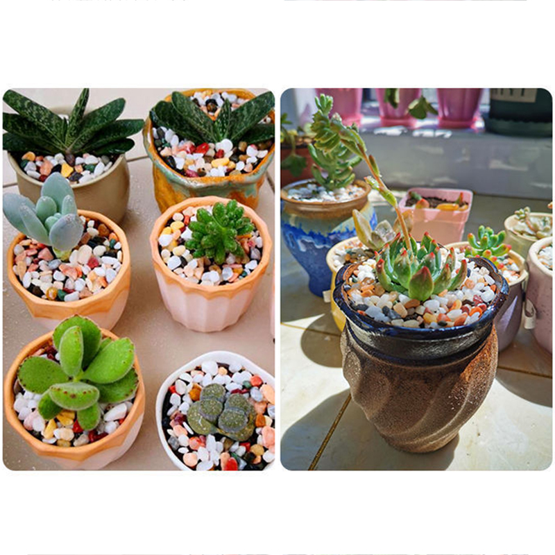 Aquarium Bodemzand DIY Accesso - Aquarium Planted Soil recensie en prijs