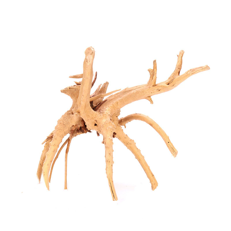 4 STUKS Natuurlijke Houten Aqu - Planted Aquarium With Driftwood recensie en prijs