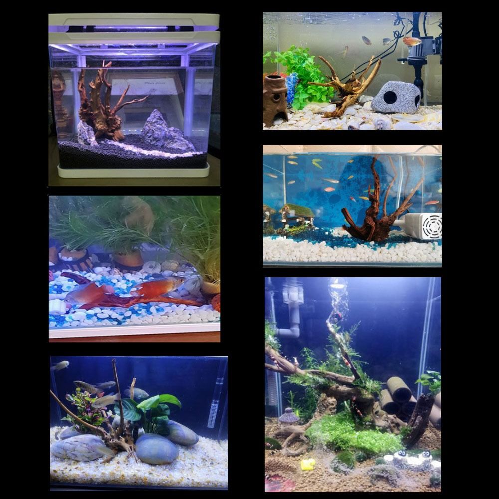 20-25CM Grote Aquarium Drijfho - Planted Aquarium With Driftwood recensie en prijs