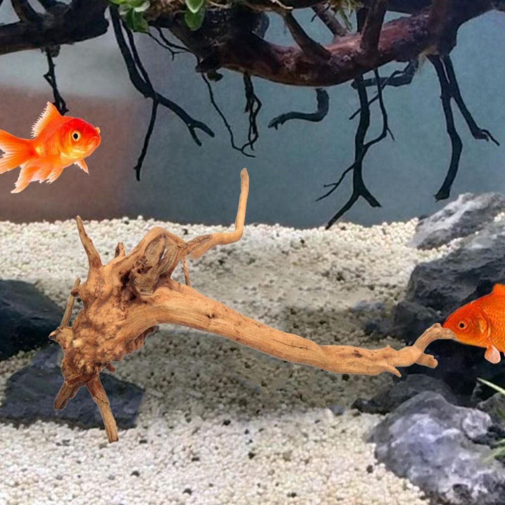 20-25CM Grote Aquarium Drijfho - Planted Aquarium With Driftwood recensie en prijs