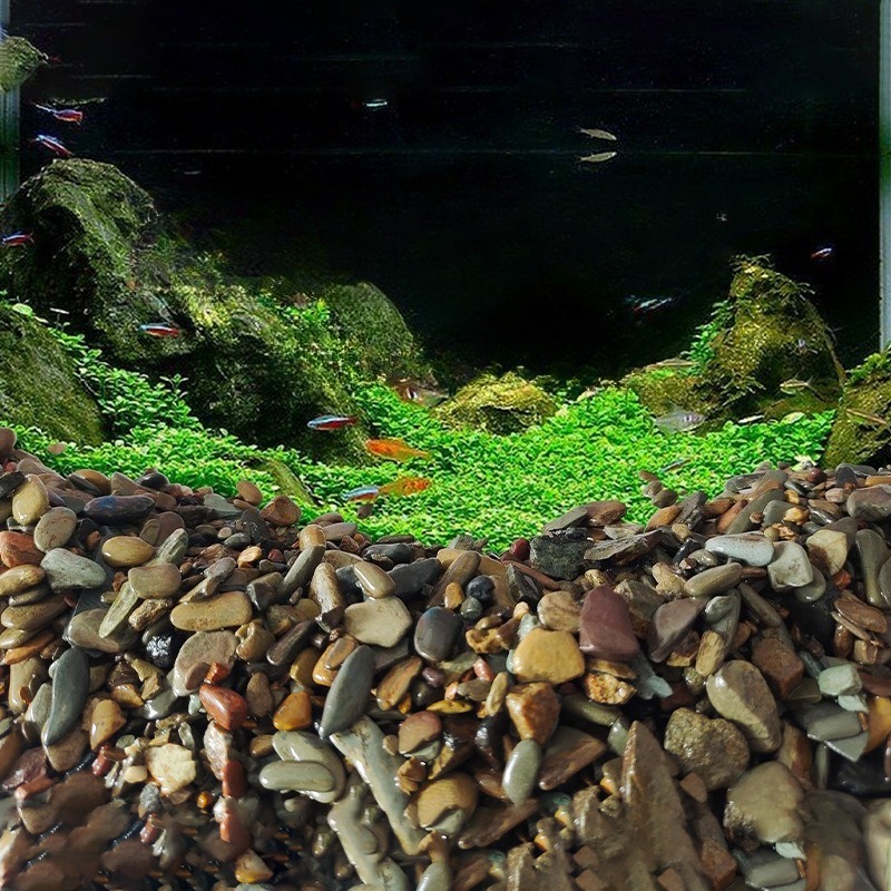 Stroomstenen Aquarium Bodemzan - Planted Aquarium With Sand recensie en prijs
