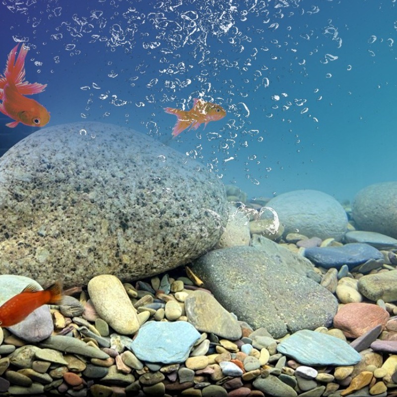 Stroomstenen Aquarium Bodemzan - Planted Aquarium With Sand recensie en prijs