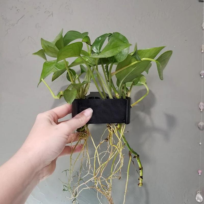1 2 3 stuks Aquarium Plantenst - Aquarium Planted Setup recensie en prijs