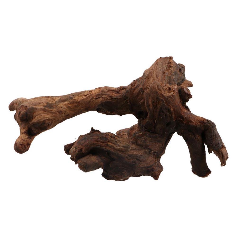 Creatief gevormd koraalhout, n - Aquarium Planted Soil recensie en prijs