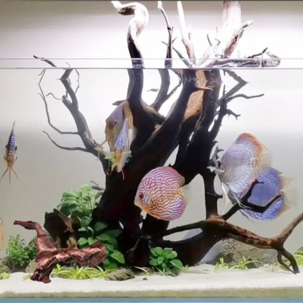 Creatief gevormd koraalhout, n - Aquarium Planted Soil recensie en prijs