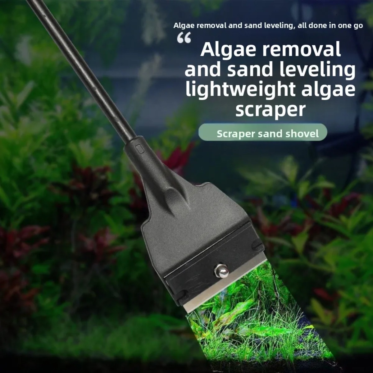 Glazen aquariumalgenkrabber, p - Planted Aquarium With Sand recensie en prijs